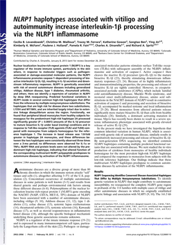 NLRP1 Haplotypes Associated with Vitiligo and Autoimmunity Increase Interleukin-1Β Processing Via the NLRP1 Inﬂammasome