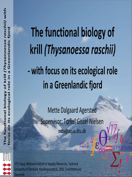 The Functional Biology of Krill (Thysanoessa Raschii)