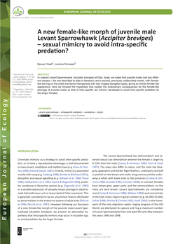 A New Female-Like Morph of Juvenile Male Levant Sparrowhawk (Accipiter Brevipes) – Sexual Mimicry to Avoid Intra-Specific Predation?