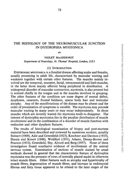 The Histology of the Neuromuscular Junction In