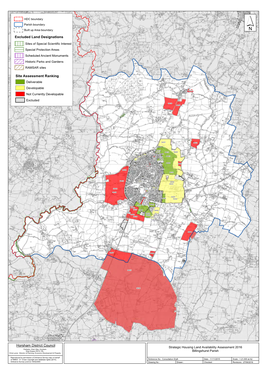 Billingshurst Parish Chris Lyons : Director of Planning, Economic Development & Property