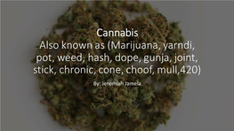 Cannabis Also Known As (Marijuana, Yarndi, Pot, Weed, Hash, Dope, Gunja, Joint, Stick, Chronic, Cone, Choof, Mull,420) By: Jeremiah Jamela Origin Origin