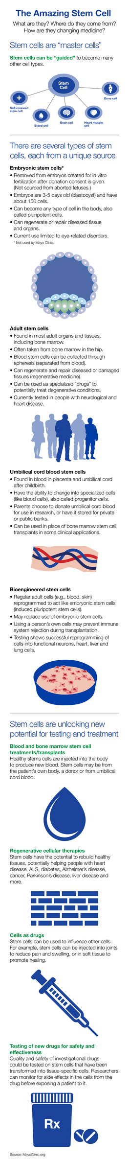 The Amazing Stem Cell What Are They? Where Do They Come From? How Are They Changing Medicine? Stem Cells Are “Master Cells”