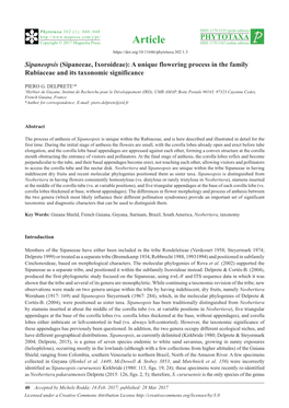 Sipaneopsis (Sipaneeae, Ixoroideae): a Unique Flowering Process in the Family Rubiaceae and Its Taxonomic Significance