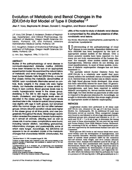 Evolution of Metabolic and Renal Changes in the ZDF/Drt-Fa Rat Model of Type II Diabetes1’2