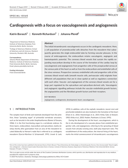 Cardiogenesis with a Focus on Vasculogenesis and Angiogenesis