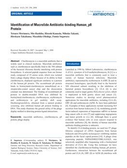 Identification of Macrolide Antibiotic-Binding Human P8 Protein