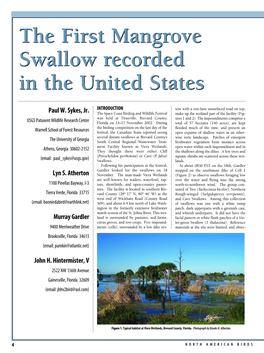 The First Mangrove Swallow Recorded in the United States