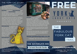 York-Cat-Trail-Leaflet.Pdf