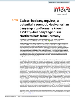 Zwiesel Bat Banyangvirus, a Potentially Zoonotic Huaiyangshan