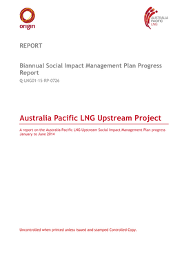 Q-LNG01-95-AQ-0035 Project Report Template Rev 2