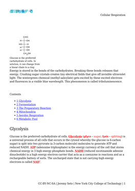 Cellular Respiration