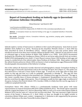 Report of Cosmophasis Feeding on Butterfly Eggs in Queensland (Araneae: Salticidae: Chrysillini)