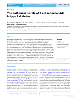 The Pathogenetic Role of Β-Cell Mitochondria in Type 2 Diabetes