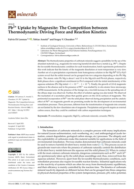 Pb2+ Uptake by Magnesite: the Competition Between Thermodynamic Driving Force and Reaction Kinetics