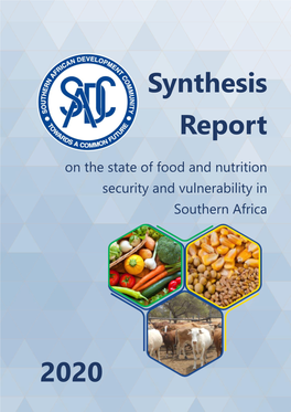 Synthesis Report 2020 Resource Synthesis Report