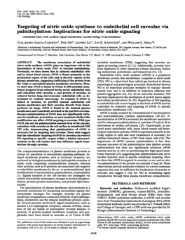 Palmitoylation: Implications for Nitric Oxide Signaling