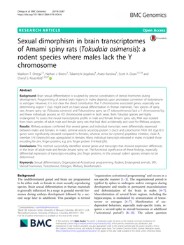 Sexual Dimorphism in Brain Transcriptomes of Amami Spiny Rats (Tokudaia Osimensis): a Rodent Species Where Males Lack the Y Chromosome Madison T