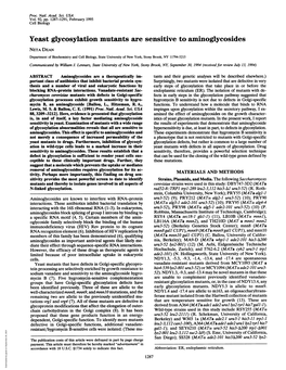 Yeast Glycosylation Mutants Are Sensitive to Aminoglycosides