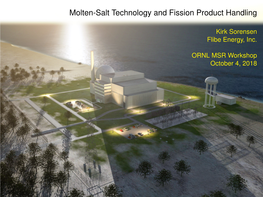 Molten-Salt Technology and Fission Product Handling