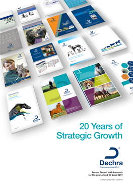 20 Years of Strategic Growth