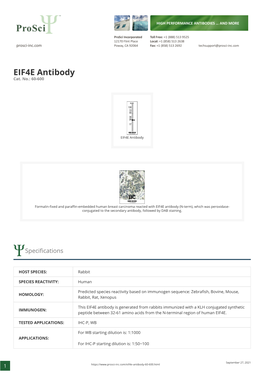 EIF4E Antibody Cat