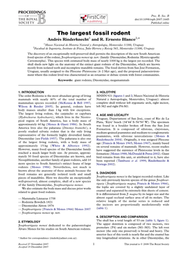 The Largest Fossil Rodent Andre´S Rinderknecht1 and R