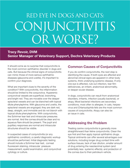 Conjunctivitis Or Worse?