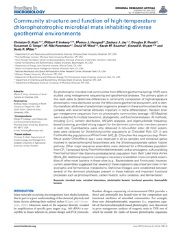 Community Structure and Function of High-Temperature Chlorophototrophic Microbial Mats Inhabiting Diverse Geothermal Environments