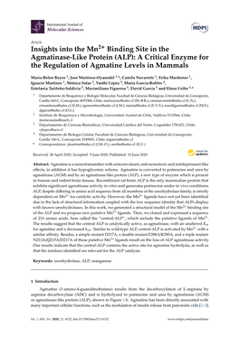 Insights Into the Mn Binding Site in the Agmatinase-Like Protein (ALP): A