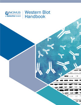 Western Blot Handbook