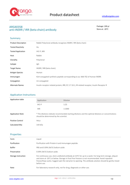 Anti-INSRR / IRR (Beta Chain) Antibody (ARG40358)