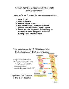 Arthur Kornberg Discovered (The First) DNA Polymerase Four