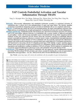 YAP Controls Endothelial Activation and Vascular Inflammation Through TRAF6