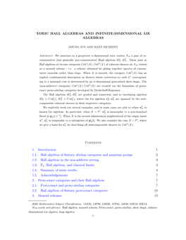 Toric Hall Algebras and Infinite-Dimensional Lie Algebras