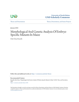 Morphological and Genetic Analysis of Embryo Specific Mutants in Maize