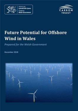 Future Potential for Offshore Wind in Wales Prepared for the Welsh Government