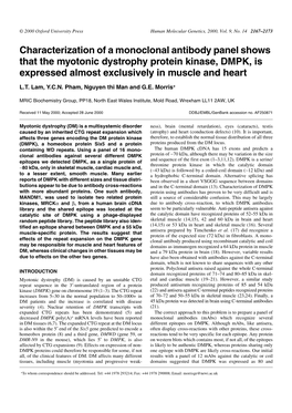 Characterization of a Monoclonal Antibody Panel Shows That the Myotonic Dystrophy Protein Kinase, DMPK, Is Expressed Almost Exclusively in Muscle and Heart