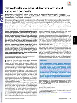 The Molecular Evolution of Feathers with Direct Evidence from Fossils