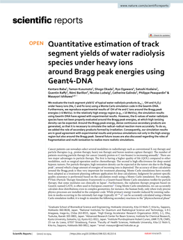 Quantitative Estimation of Track Segment Yields of Water Radiolysis