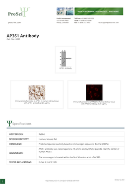 AP3S1 Antibody Cat