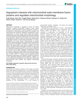 Appoptosin Interacts with Mitochondrial Outer-Membrane Fusion Proteins and Regulates Mitochondrial Morphology