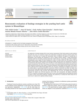 Bioeconomic Evaluation of Feedings Beef Cattle in Mozambique