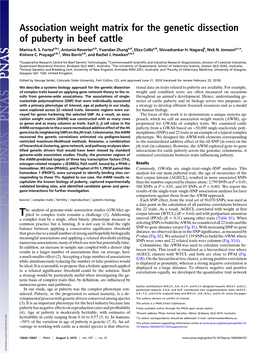 Association Weight Matrix for the Genetic Dissection of Puberty in Beef Cattle