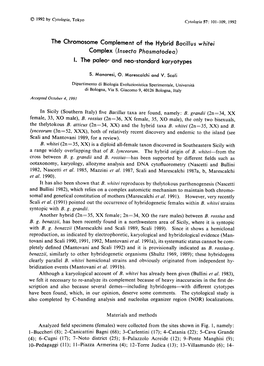 The Chromosome Complement of the Hybrid Bacillus Whitei Complex (Insecta Phasmatodea) I