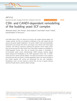 And CAND1-Dependent Remodelling of the Budding Yeast SCF Complex