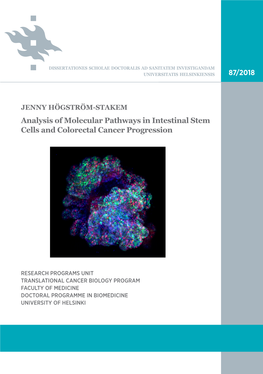 Analysis of Molecular Mechanisms in Intestinal Stem Cells and Colorectal