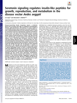 Serotonin Signaling Regulates Insulin-Like Peptides for Growth, Reproduction, and Metabolism in the Disease Vector Aedes Aegypti