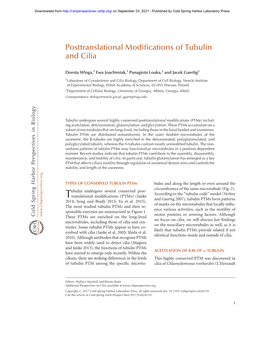 Posttranslational Modifications of Tubulin and Cilia