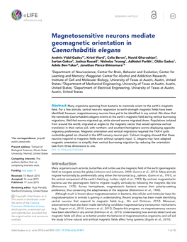 Magnetosensitive Neurons Mediate Geomagnetic Orientation in Caenorhabditis Elegans